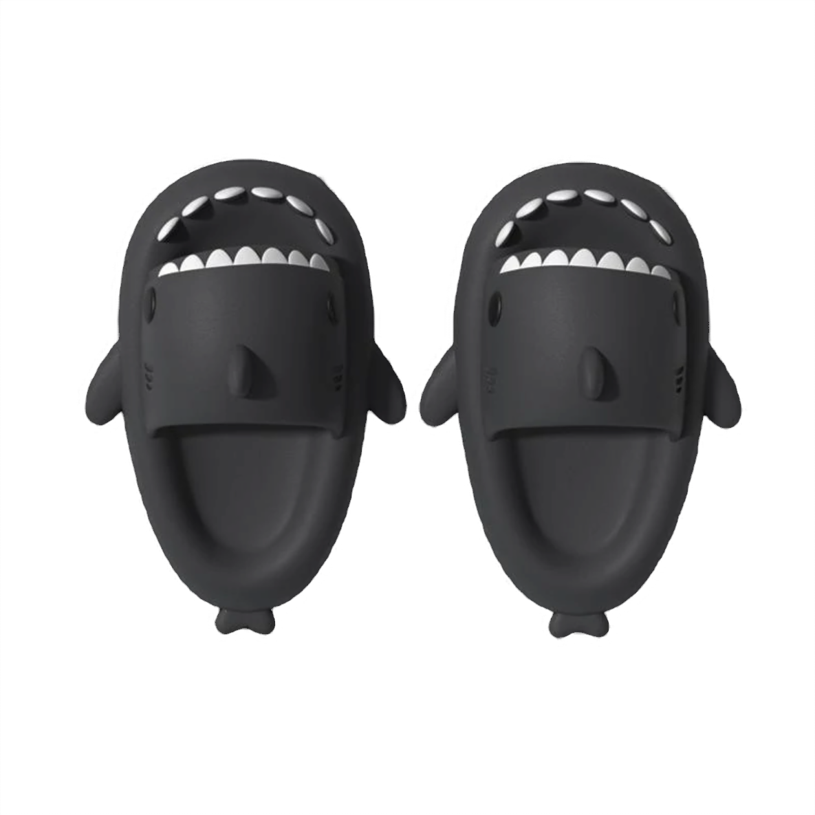 Sharky Comfort Slides